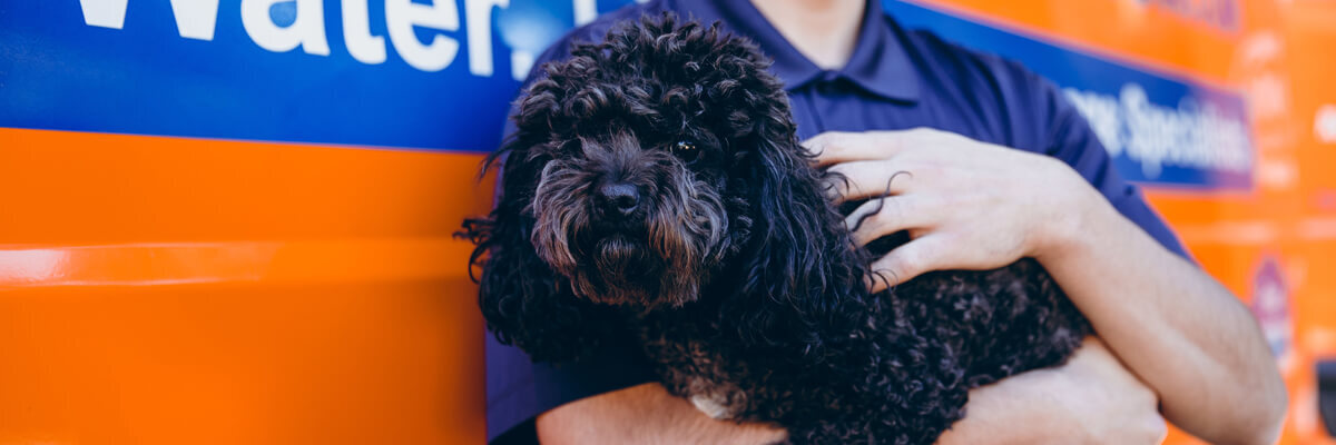banner
